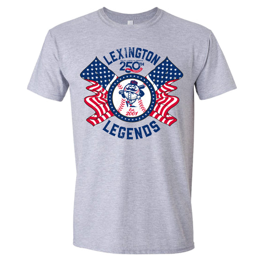 Adult Grey Constitution 250 Patriotic Tee